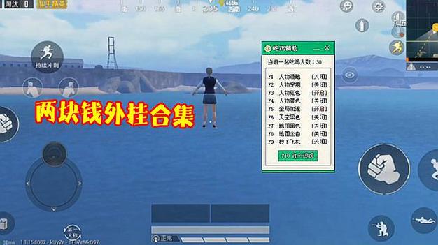 深入了解和平精英辅助现象：技术创新与社会影